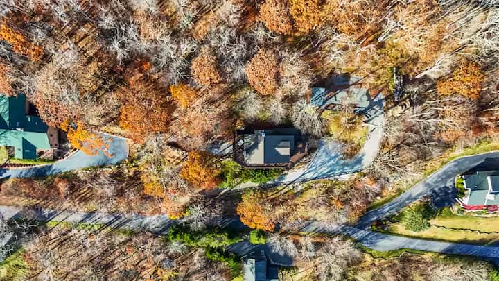 Mama Bear Cabin photo 66